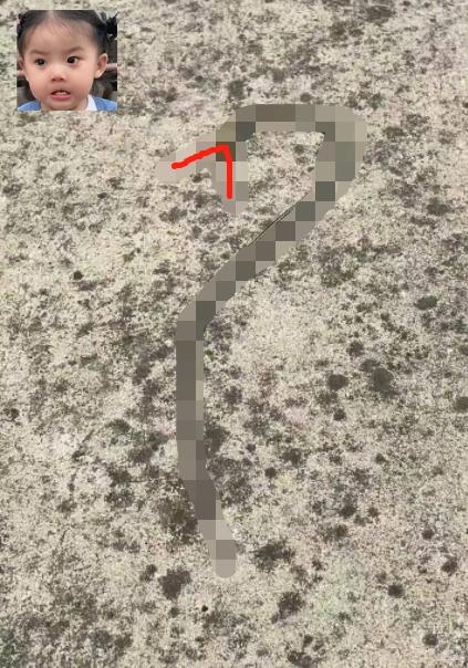 遭不住的高温天气,蛇被热中暑