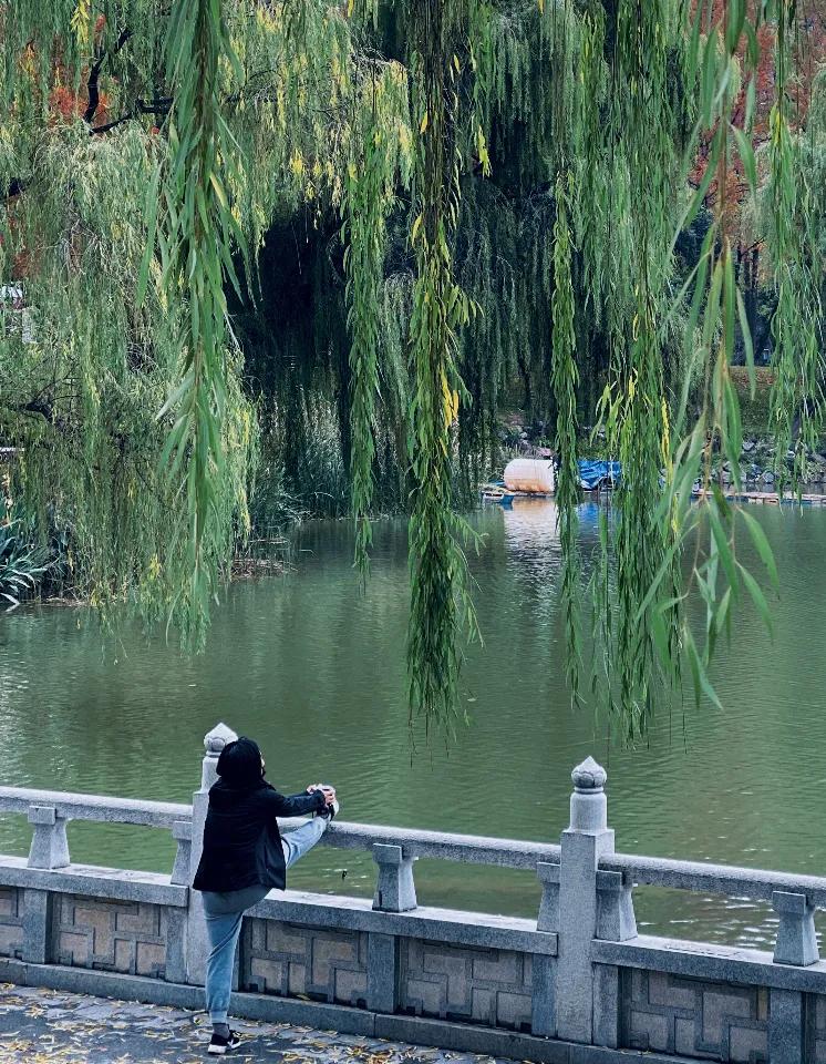 兴庆公园长乐之声合唱团直播现场,兴庆公园大合唱