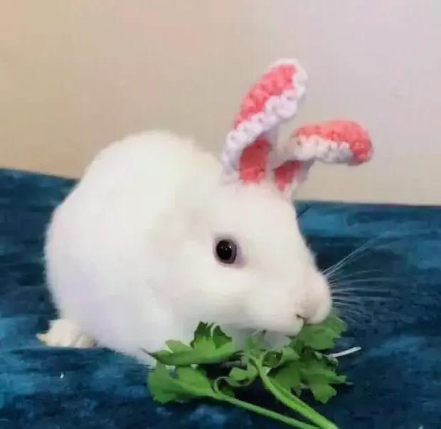 好玩又能赚钱的好项目,好玩又能挣钱的东西靠谱吗