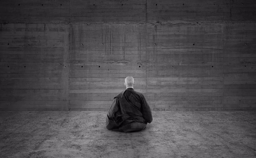 日本枯山水景观,日本枯山水中的树是什么树