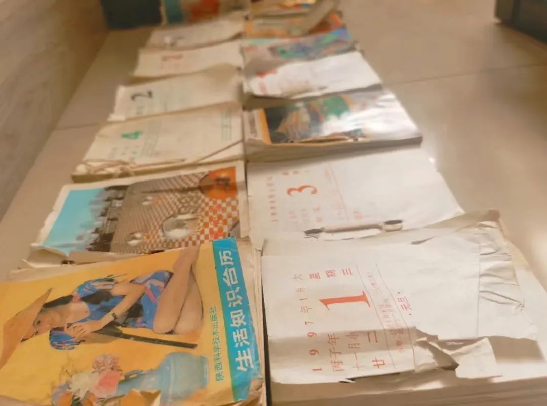 被拐卖的奶奶22年,被拐卖的奶奶后续