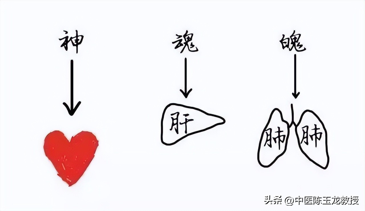 提高瞬时记忆的小妙招,提高记忆效率15条