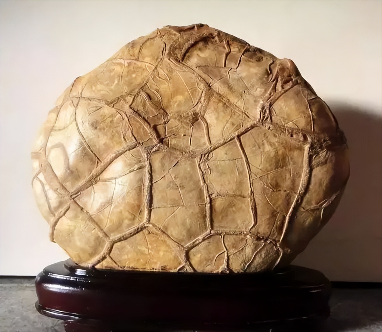 中国100种奇石图谱,中国10大奇石图片