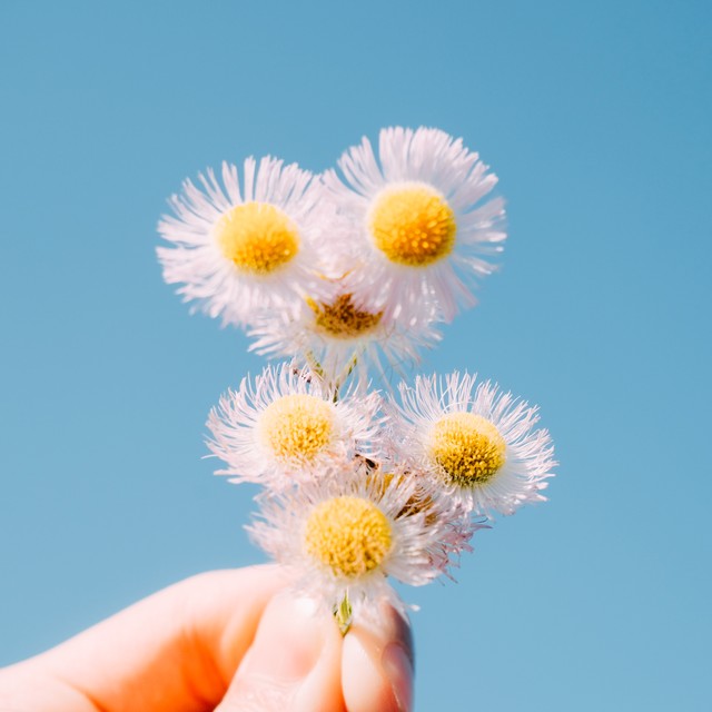 医患关系紧张最直接原因,医患关系暖心话