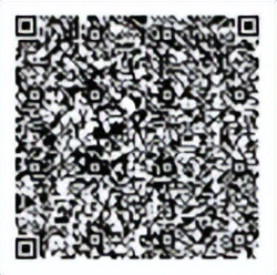 央视网中国新闻网直播,《中国新闻网》央视网