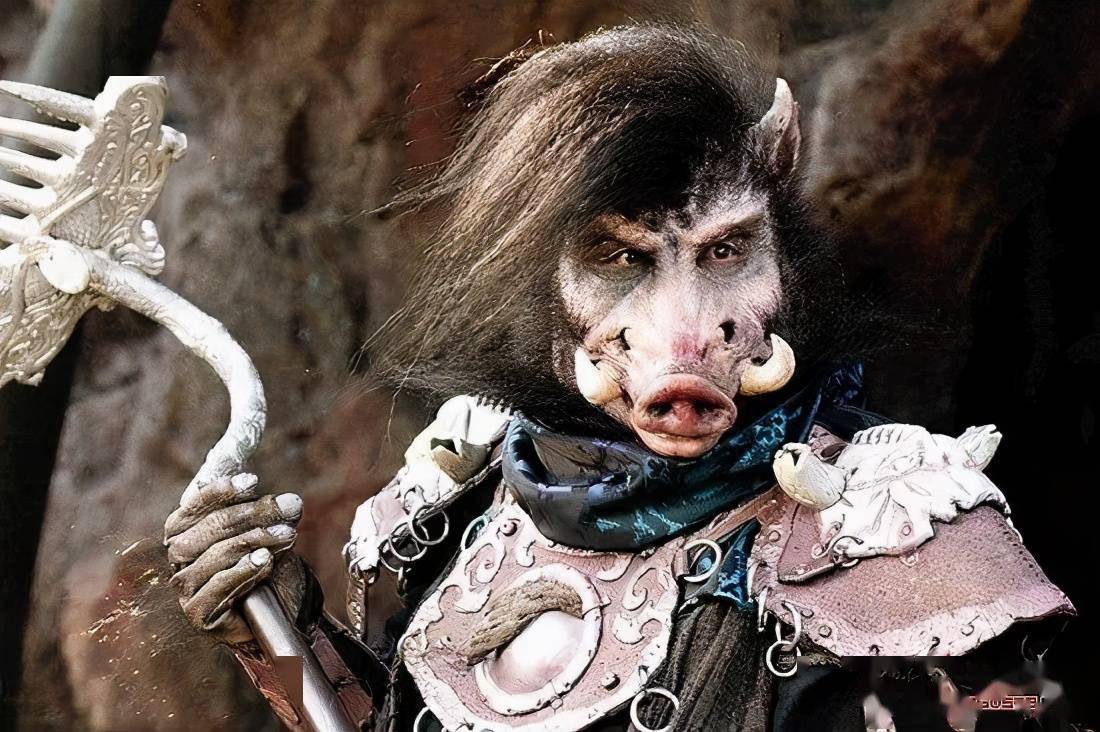 八戒毛骨悚然,关于猪八戒的取经之路