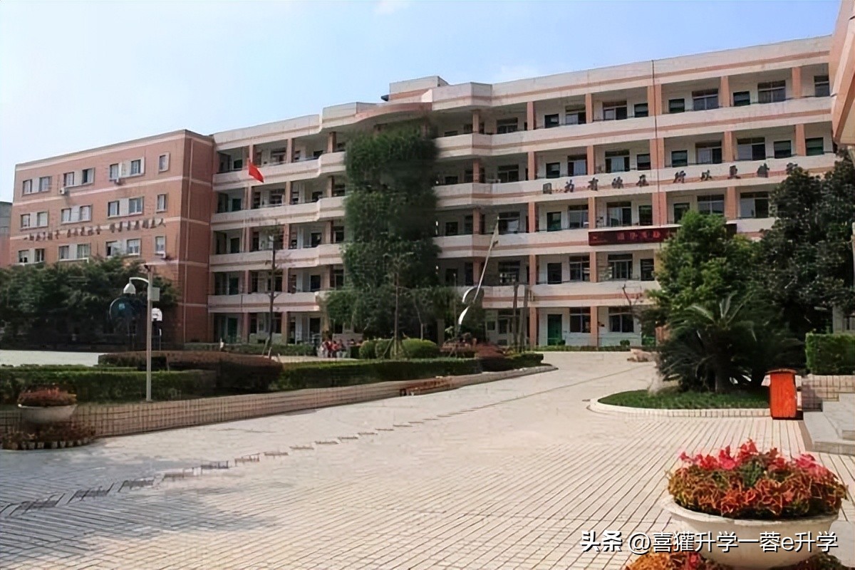蓉e升学,成华区小学升学率排行