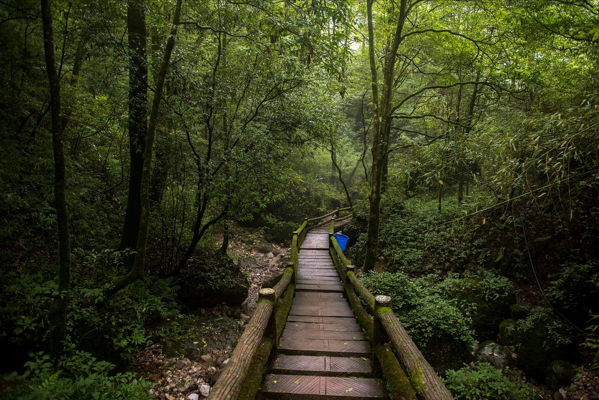 第一次去四川旅游省钱小技巧!四川成都九寨沟七日游路线攻略!