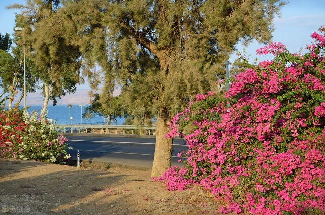 保持年轻的秘诀不近女色,60岁保持年轻的秘诀