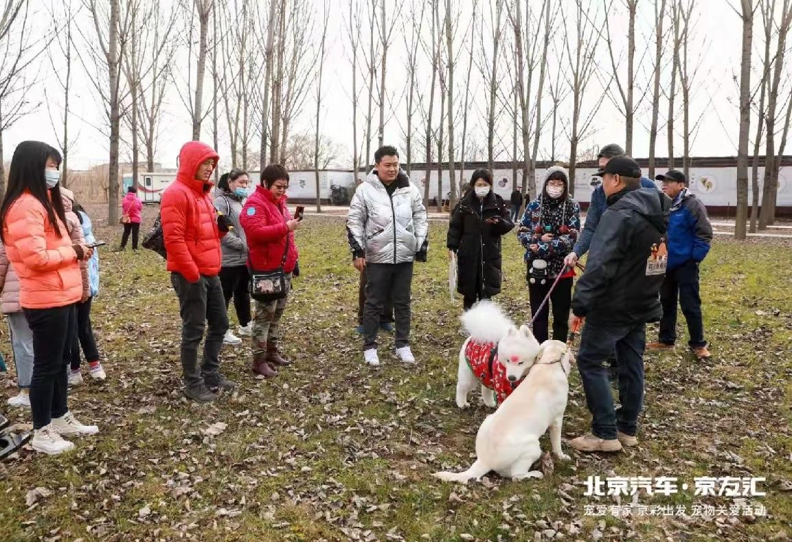 懂用户，更要“宠”用户！北京汽车·京友汇北京站“宠爱有家