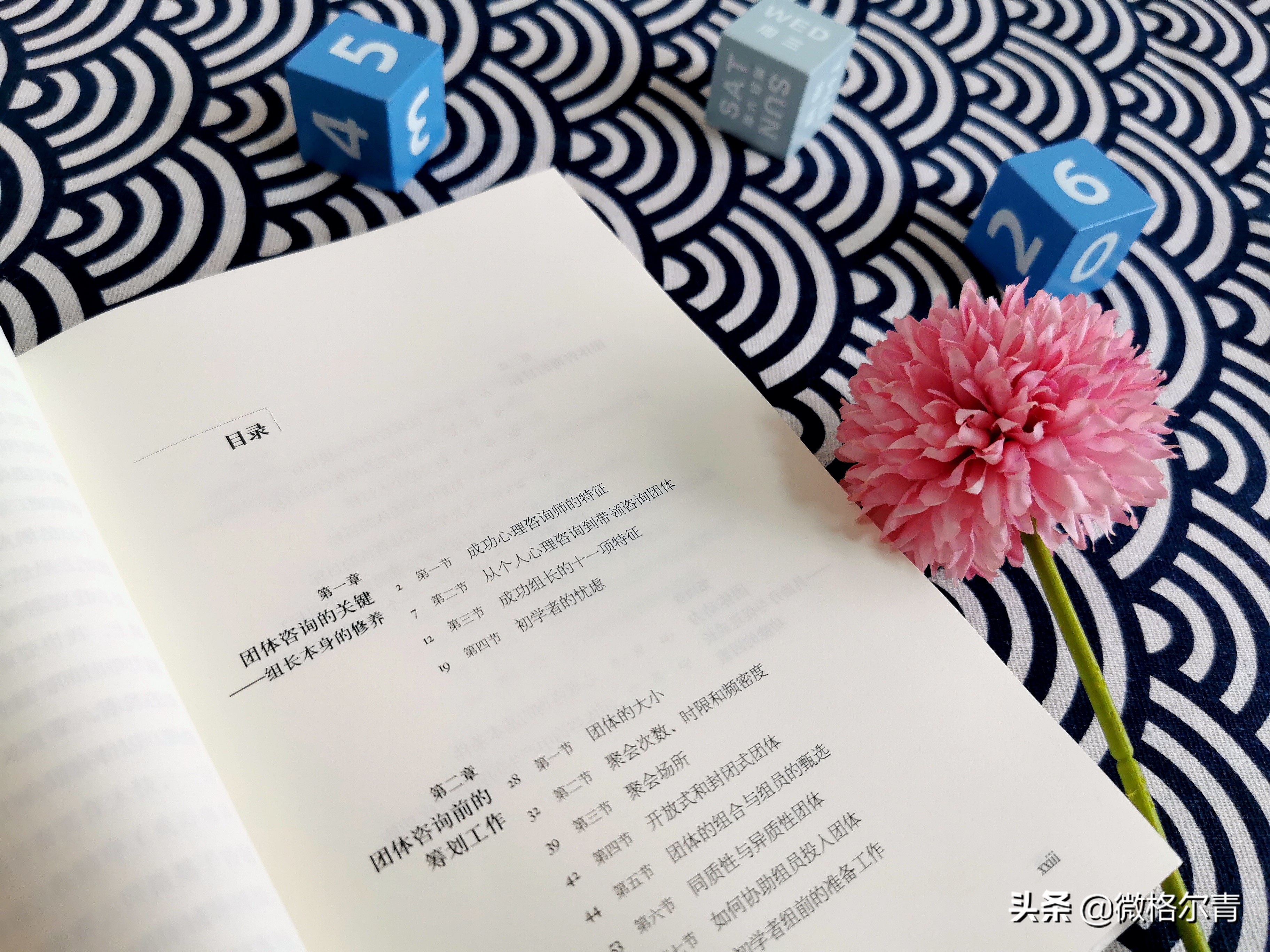 团体咨询与治疗：抱团取暖，彼此成就自我之路