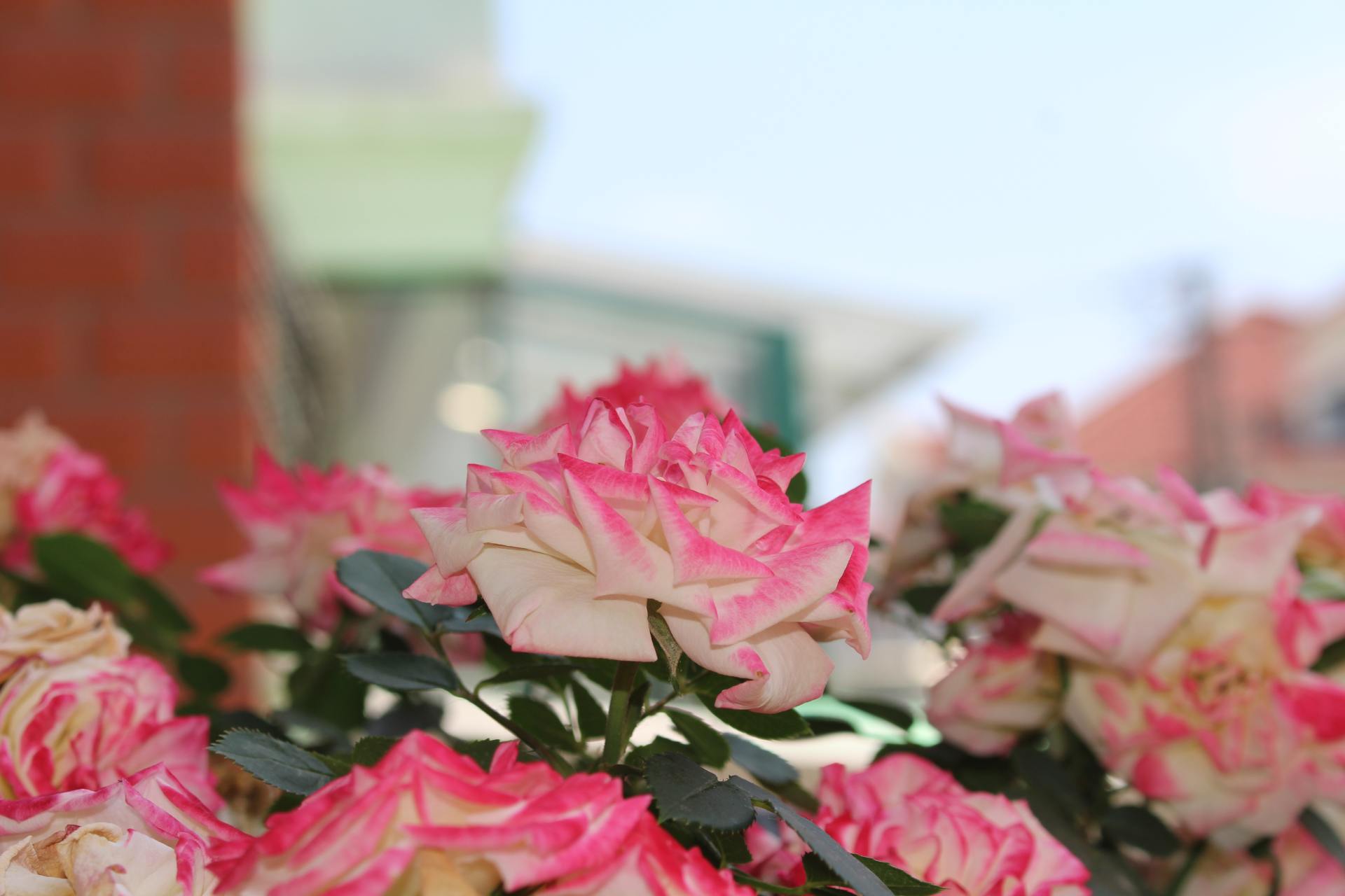 佳能100d新款价格,佳能100d同价位更有性价比的相机