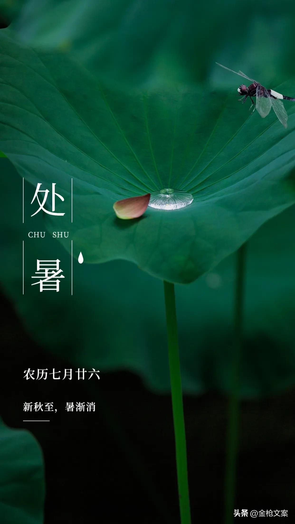 二十四节气处暑朋友圈,二十四节气处暑日记