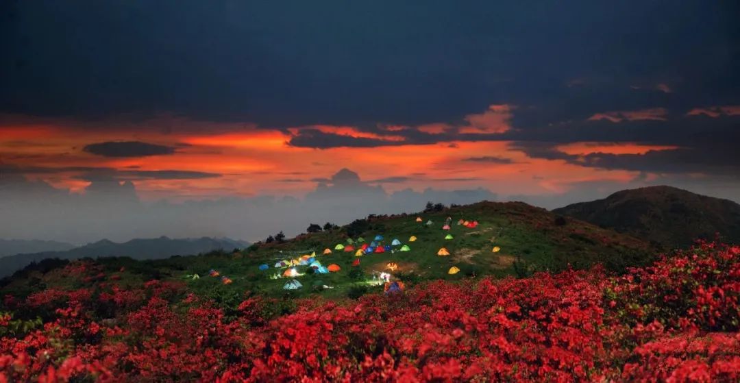 遂昌五一节旅行,遂昌旅游五一