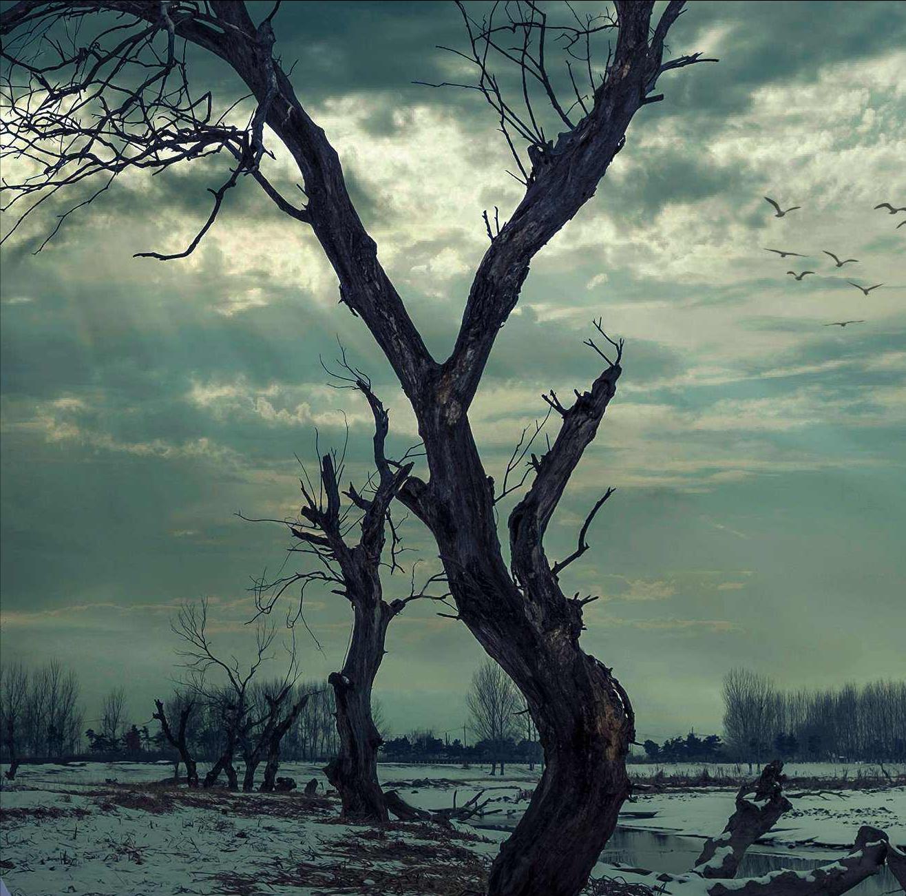 曾仕强讲鬼最容易找怎样的人,曾仕强认为鬼白天会出来吗