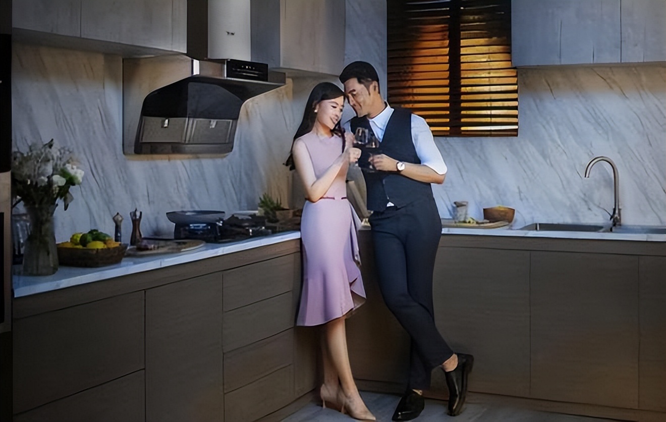 史密斯油烟机新净界,史密斯油烟机十大公认品牌排行榜