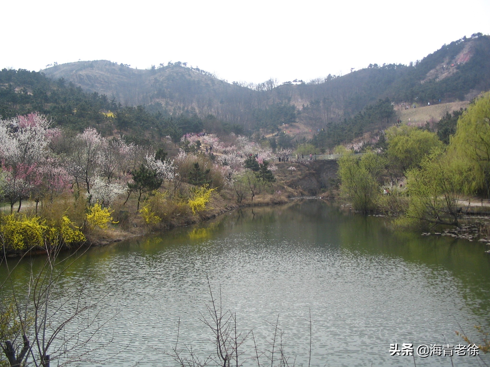 老徐新足迹,老徐自驾游视频