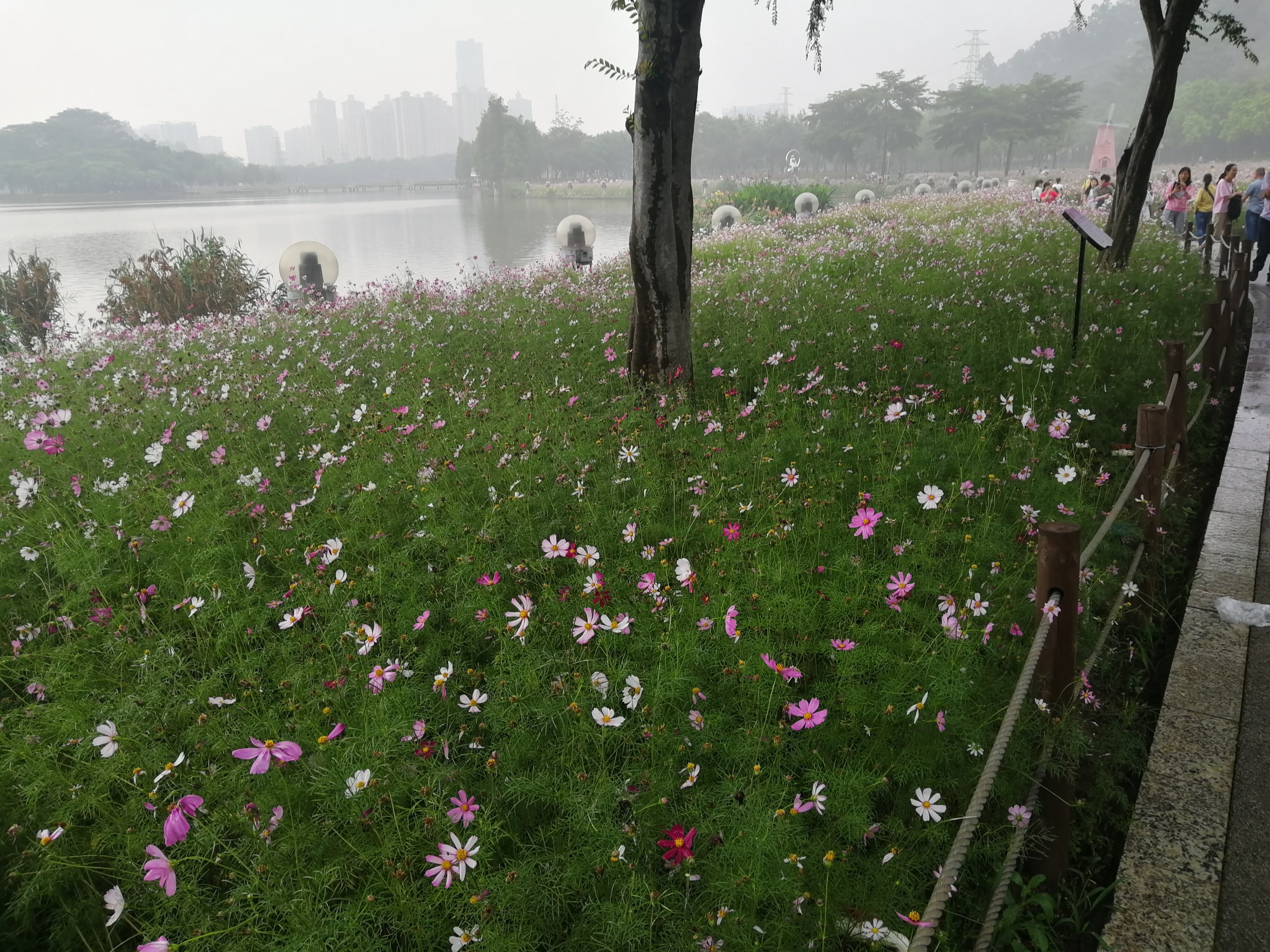 打卡广州地铁7号线,打卡广州最美7公里