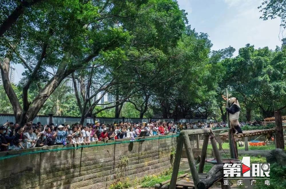 盘点最火“五一”重庆*级A**景区接待游客641.26万人次