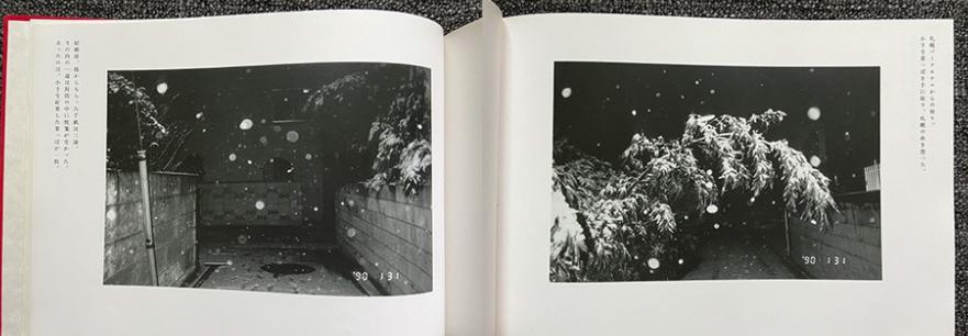 冬季的诉说聆听舒伯特《冬之旅》,舒伯特冬之旅是艺术歌曲还是歌剧