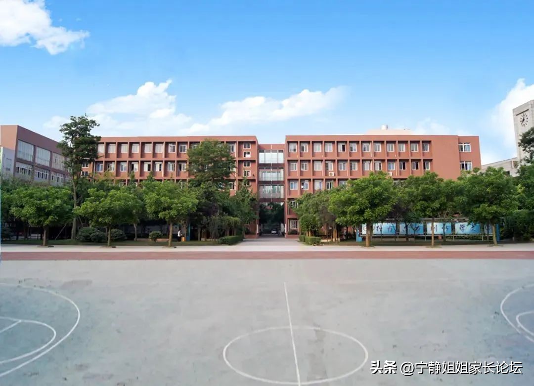 家长信赖的素质教育学校有哪些,高新区排名前十中学