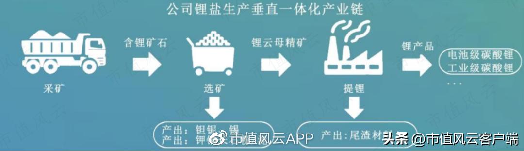 江西九岭锂业上市进度,九岭锂业ipo为何终止