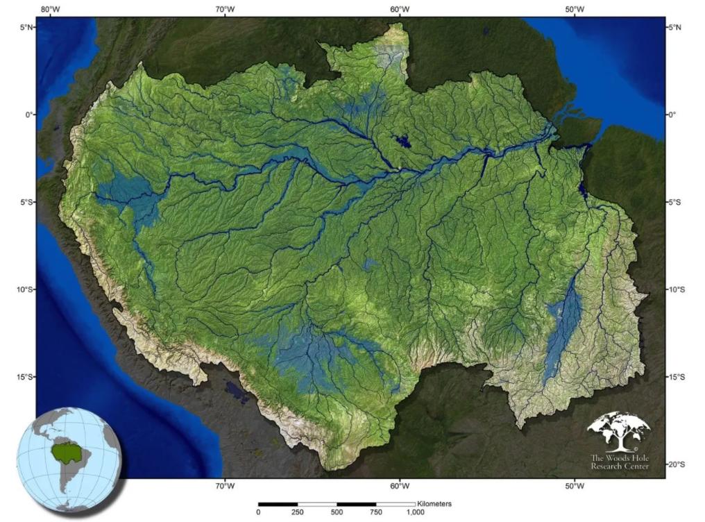 巴西球员被食人鱼吃剩骨,巴西球员惨遭食人鱼