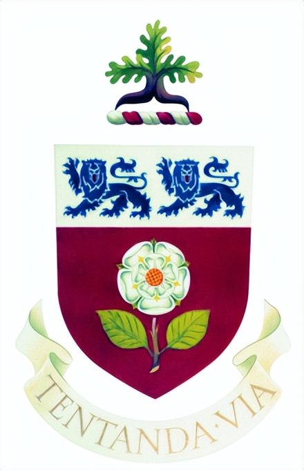 约克大学在加拿大排名第几大,加拿大约克大学yorkuniversity