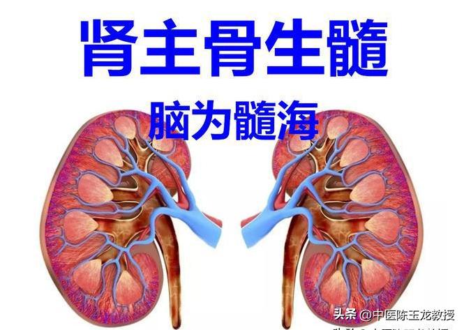 提高瞬时记忆的小妙招,提高记忆效率15条