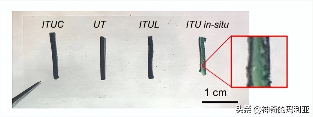 磁性响应水凝胶,光热效应水凝胶