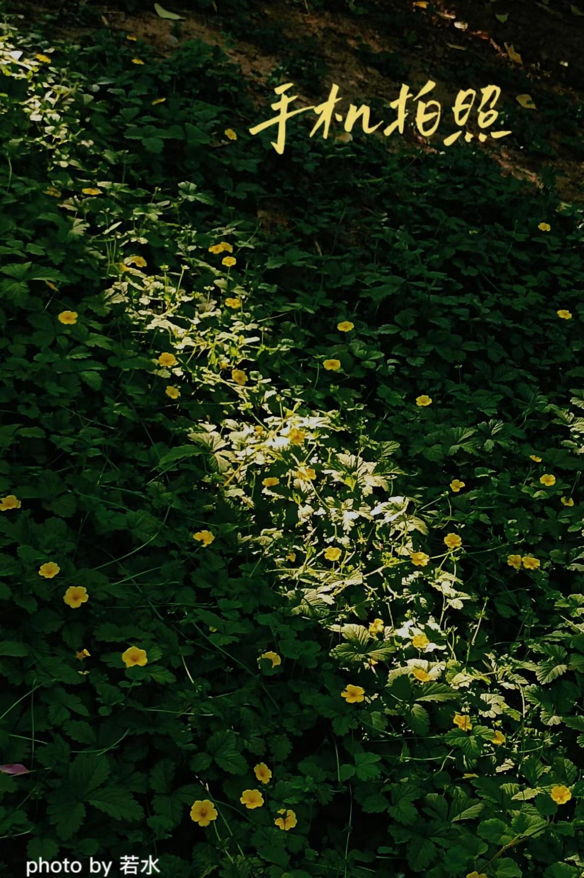 手机拍照的一些小技巧,手机拍照的3个小技巧很实用