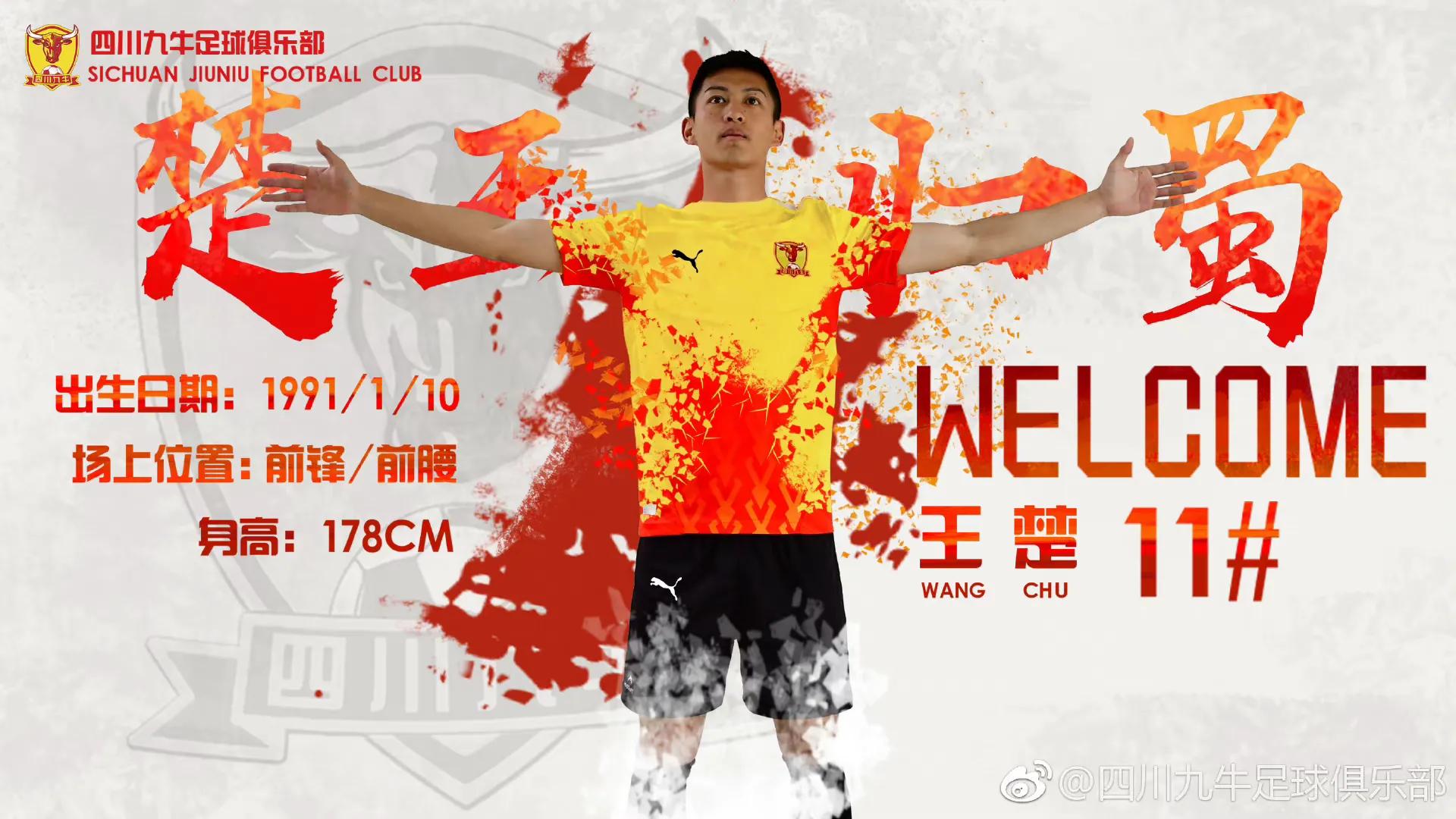 中国球员留洋失败的原因,中国足球留洋失败案例