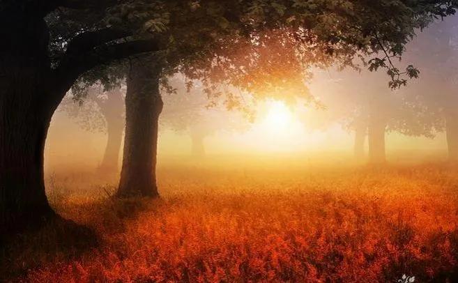 安然是舒适的意思,安然是真实存在的么