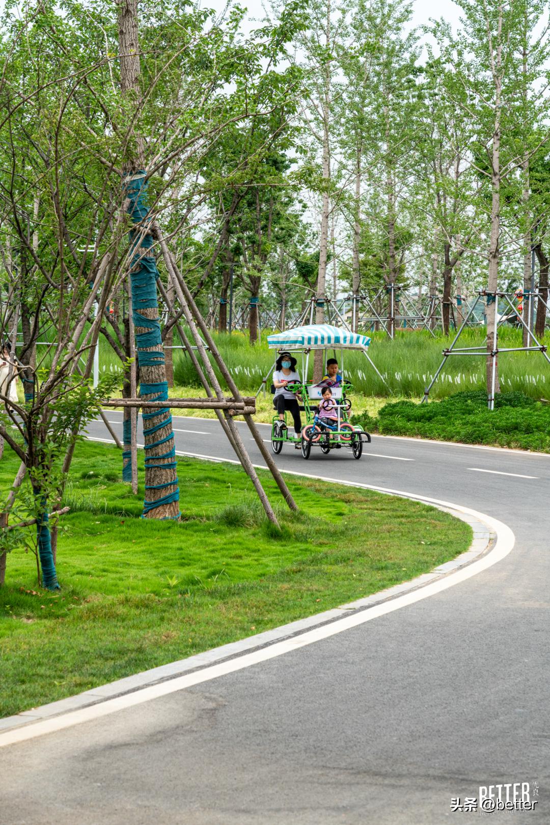 城中3处小众宝藏绿地，一起去散个步吗