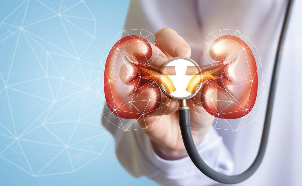 吃降压药十几年了会伤肾吗,降压药吃多了伤肾吗