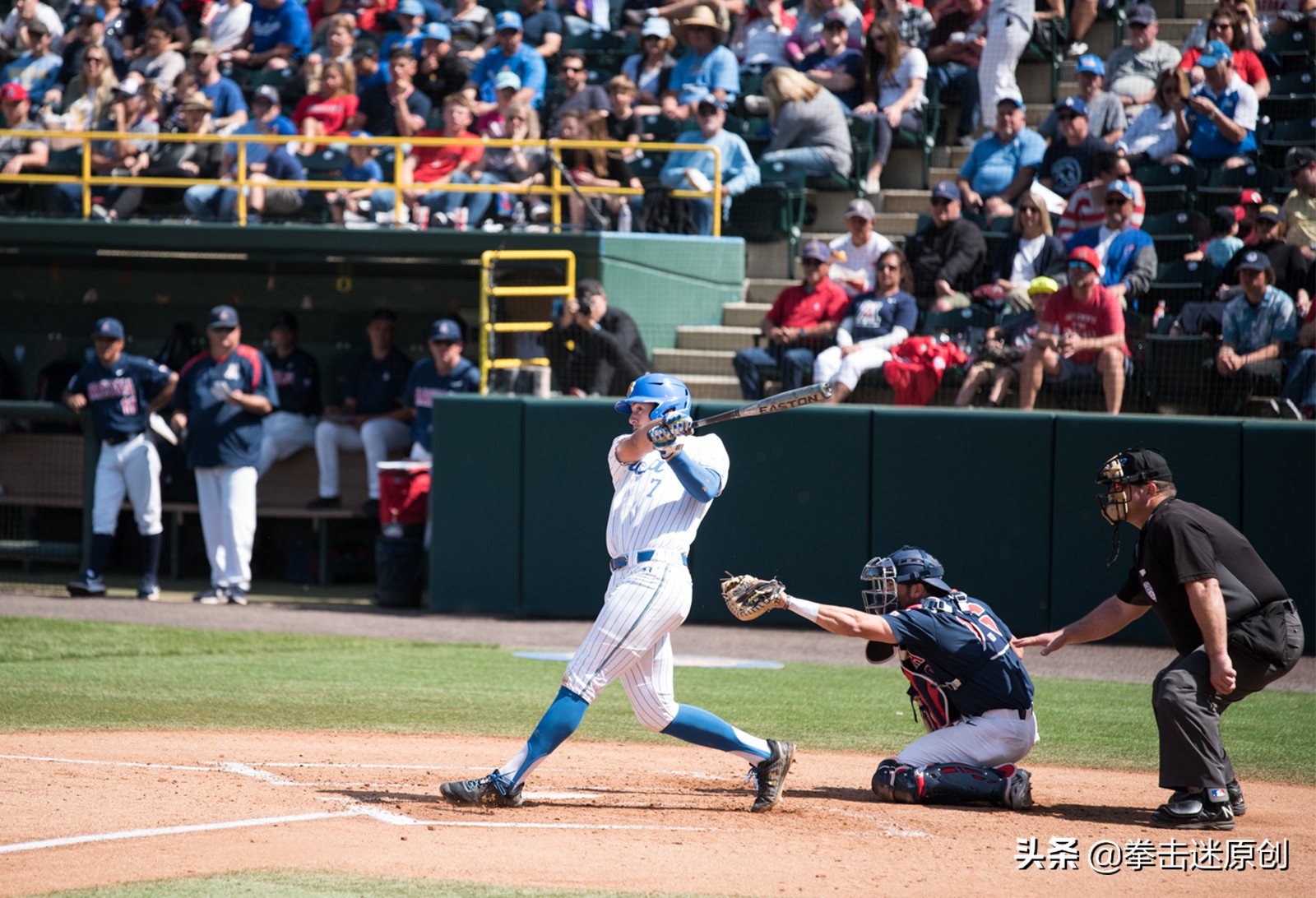 拳击运动的热度,美国拳击格斗最新排名