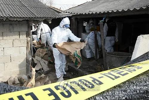 未破的连环杀人案,华城连环杀人案的真凶