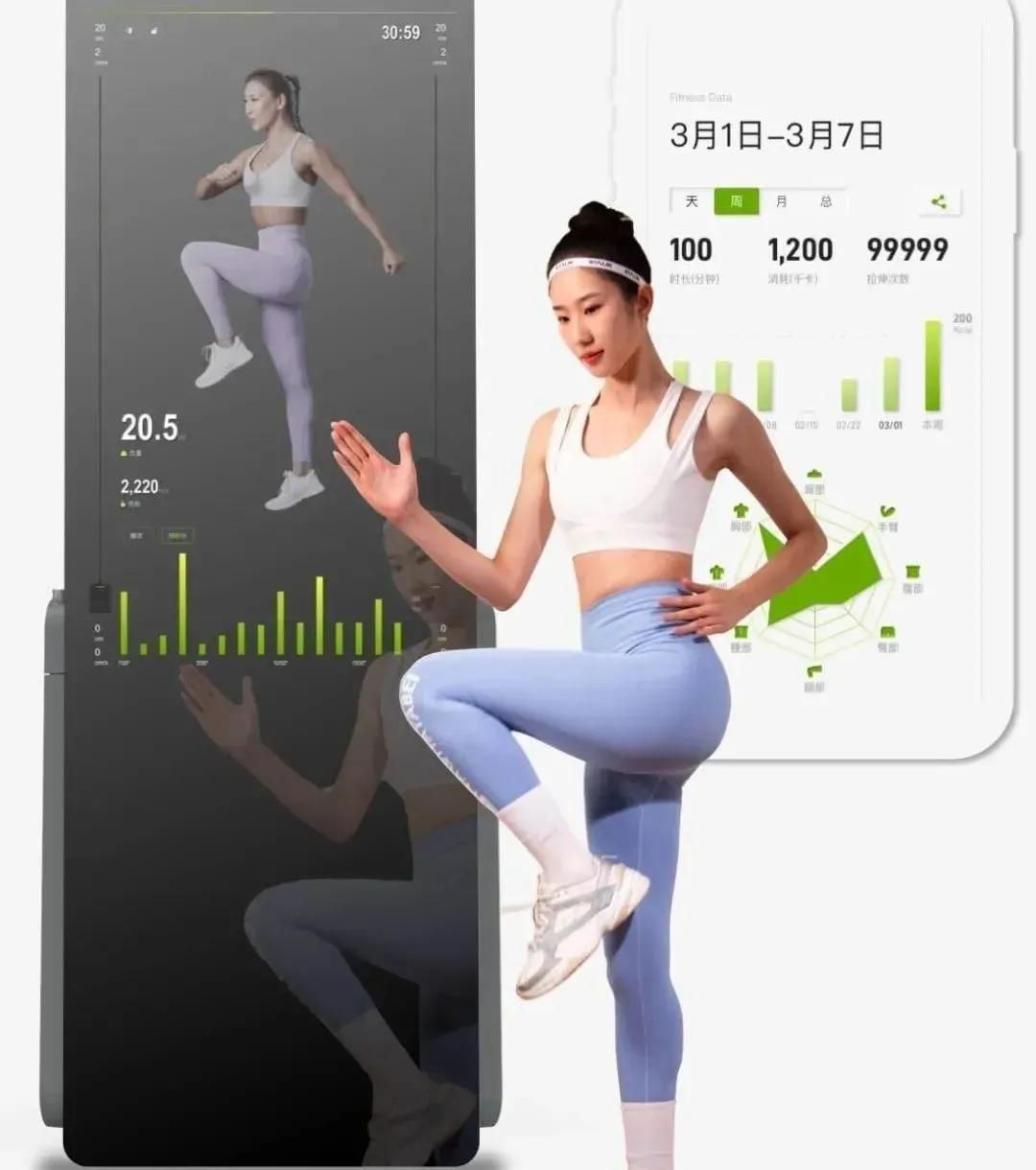 健身跑步机哪个品牌最好,智能健身跑步机推荐品牌