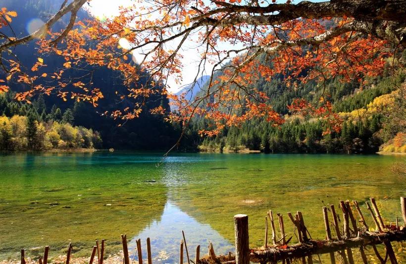 人间仙境九寨沟图片,人间仙境九寨风景图片