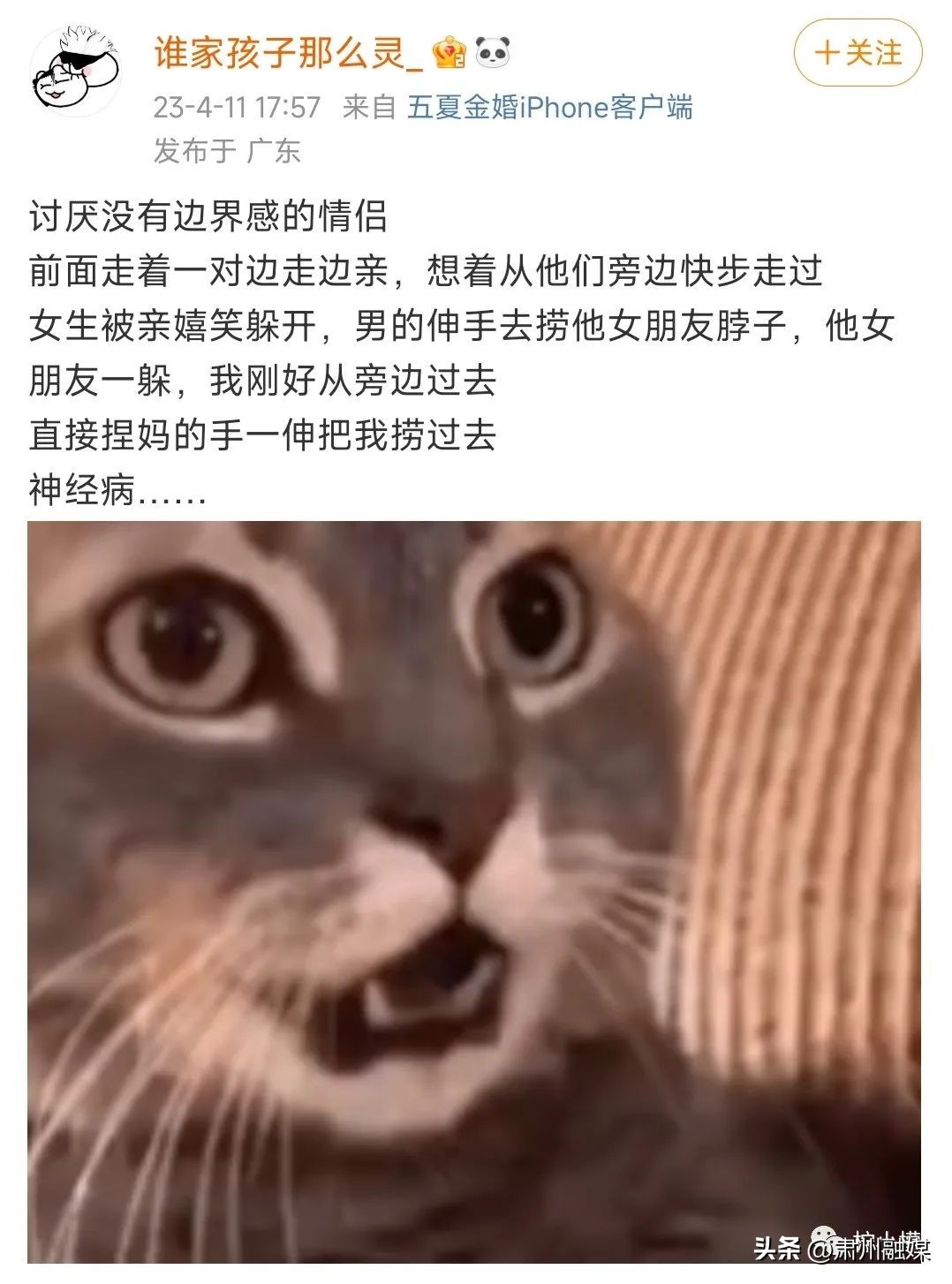 盘点那些在网购的山寨货,盘点那些网购的山寨物品