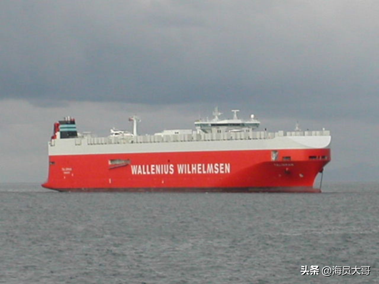 我在新西兰体验当地人的生活,在漂流瓶遇上女留学生,从事性工作