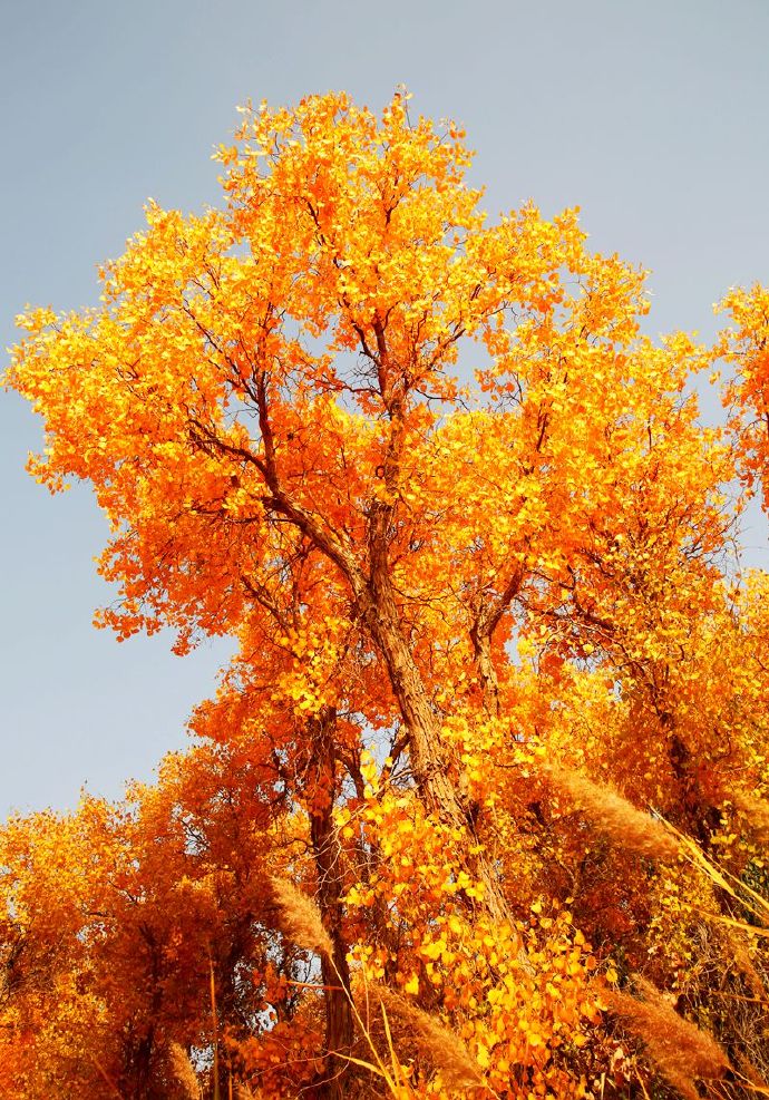 环游新疆15天,环游南疆8天攻略