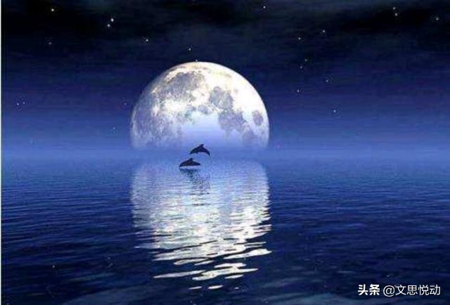 余秋雨164.佛教的基本理念——缘起性空