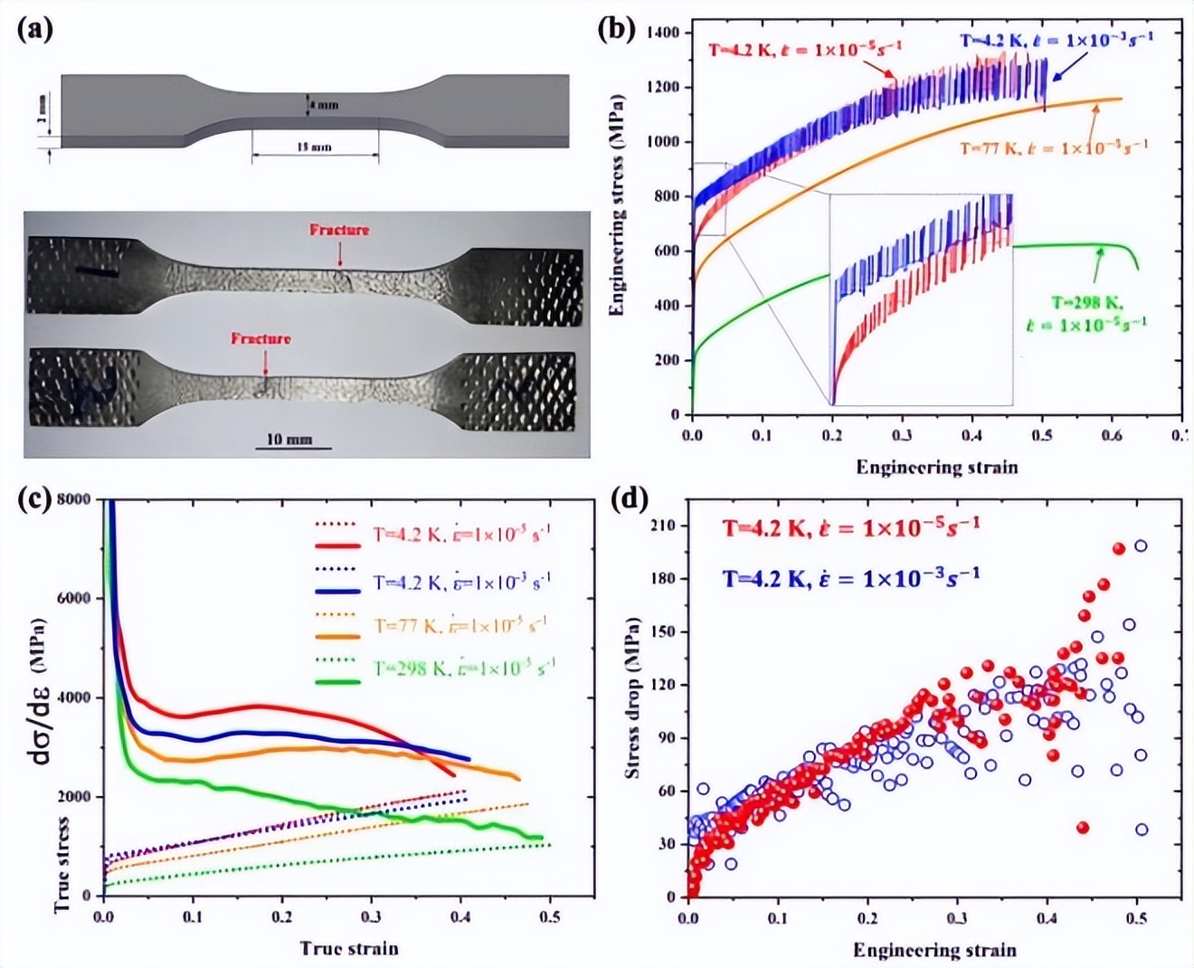 应变速率对Ti基T110合金力学行为和组织演变的影响
