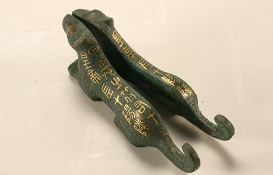 虎年说虎论老虎的起源与变迁,虎的甲骨文突出了什么