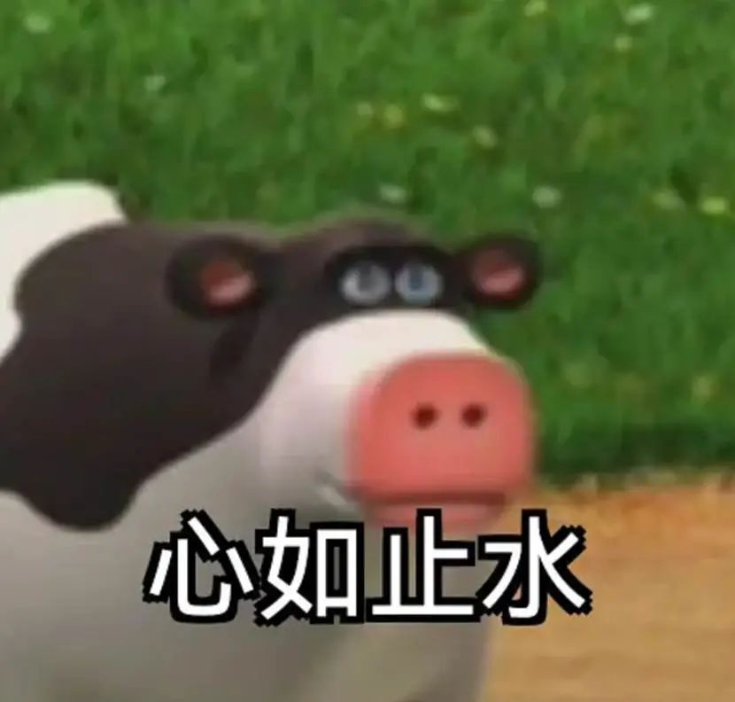 耐克阿迪达斯比赛用球,耐克的字母足球