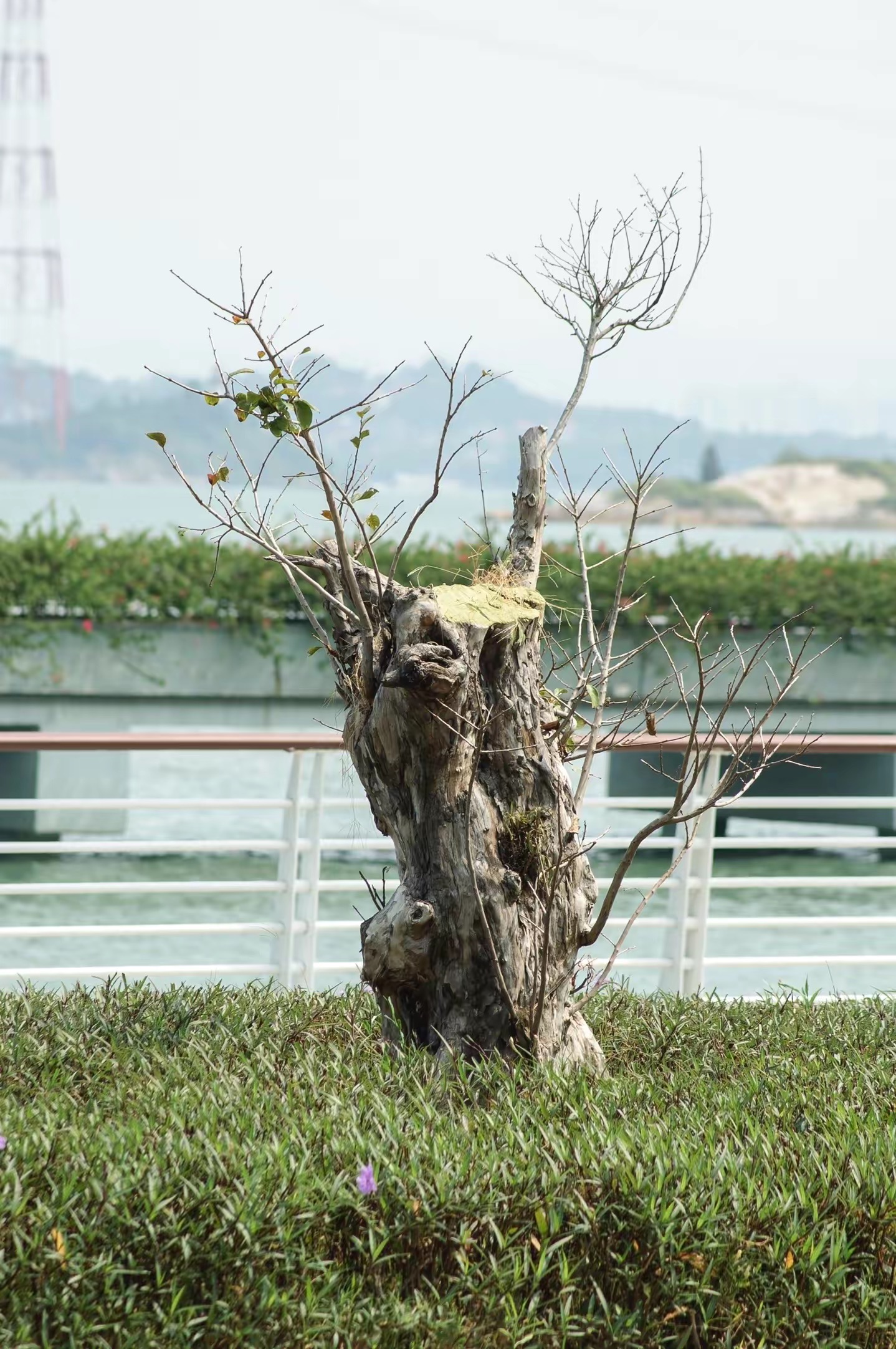 适合小白的ccd相机推荐,拍照好的ccd相机推荐