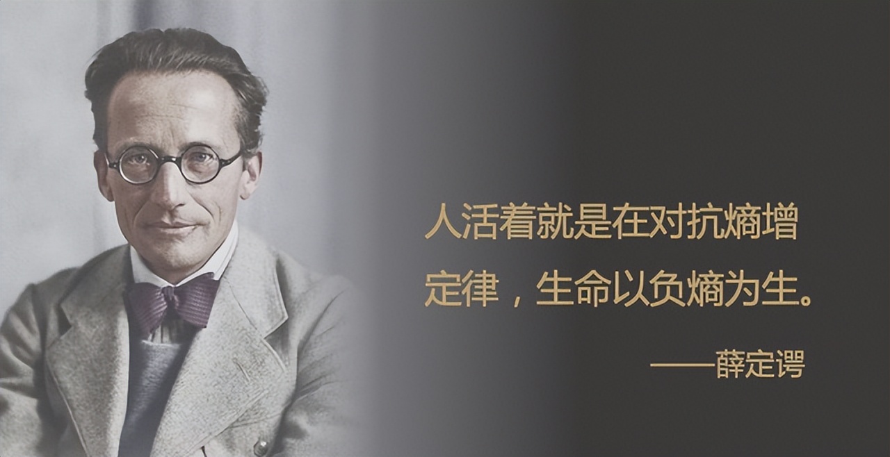 如何对抗熵增语录,如何对抗熵增作文500字