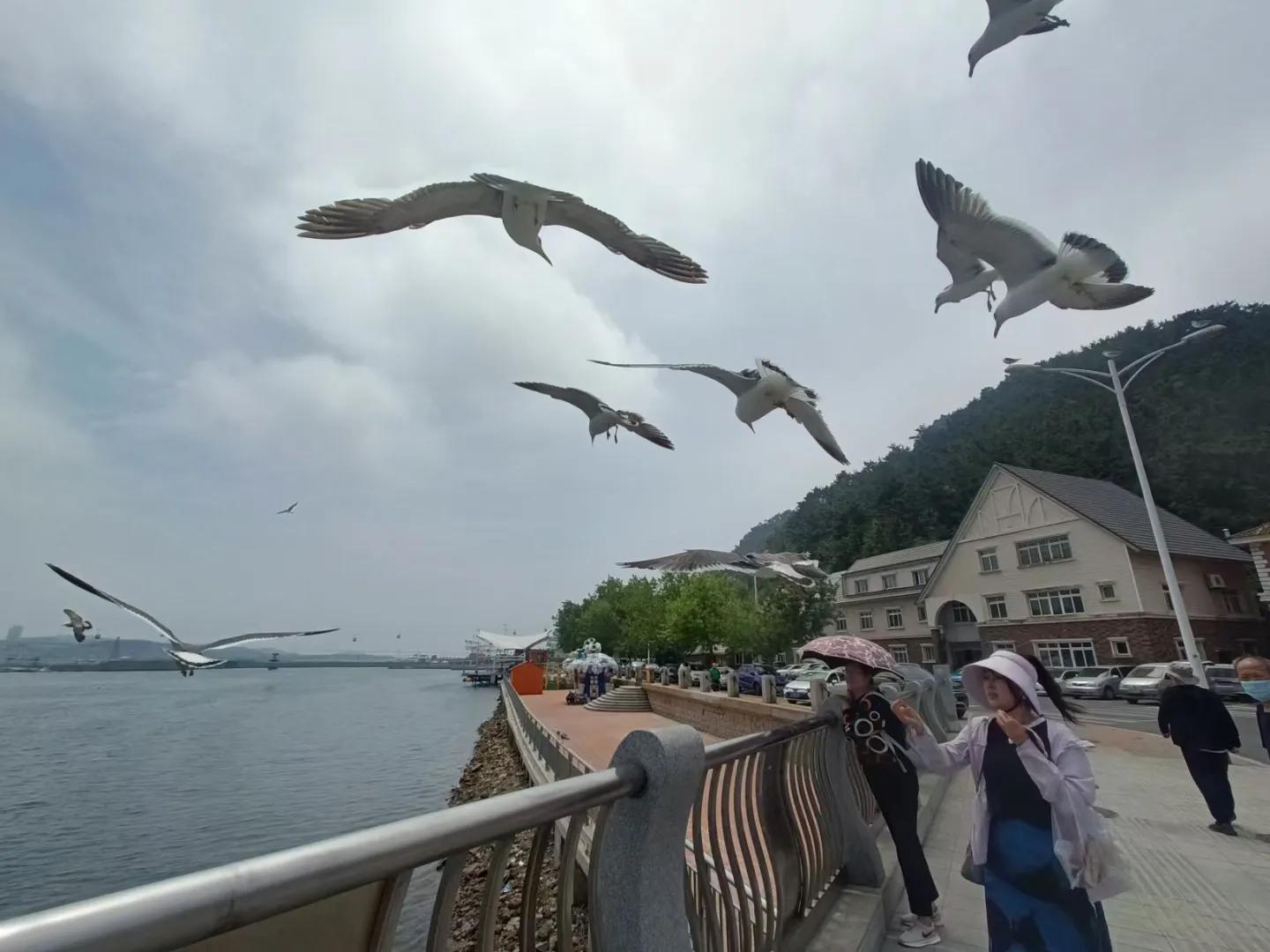 冬季大连必吃的美食排行榜,大连美食推荐必吃螃蟹