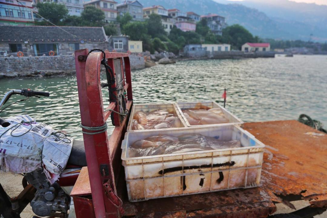 深入了解青岛,深入了解市场